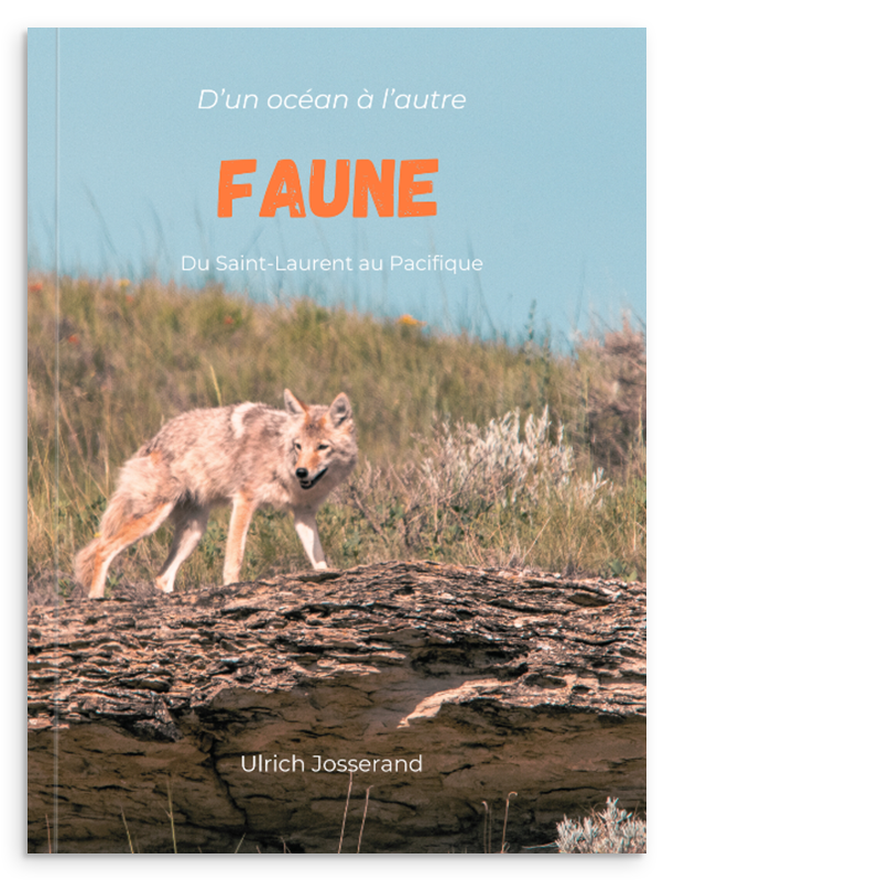 -À VENIR- Livre "Faune"